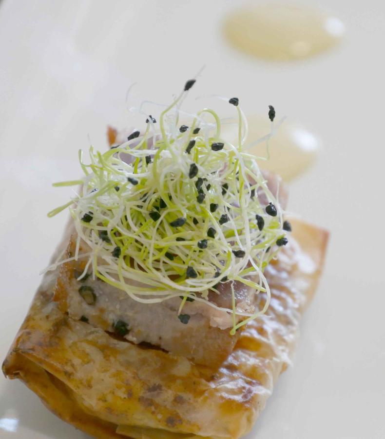 مبيت وإفطار Aussonne La Planette المظهر الخارجي الصورة